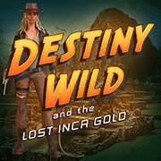 Destiny Wild - logo